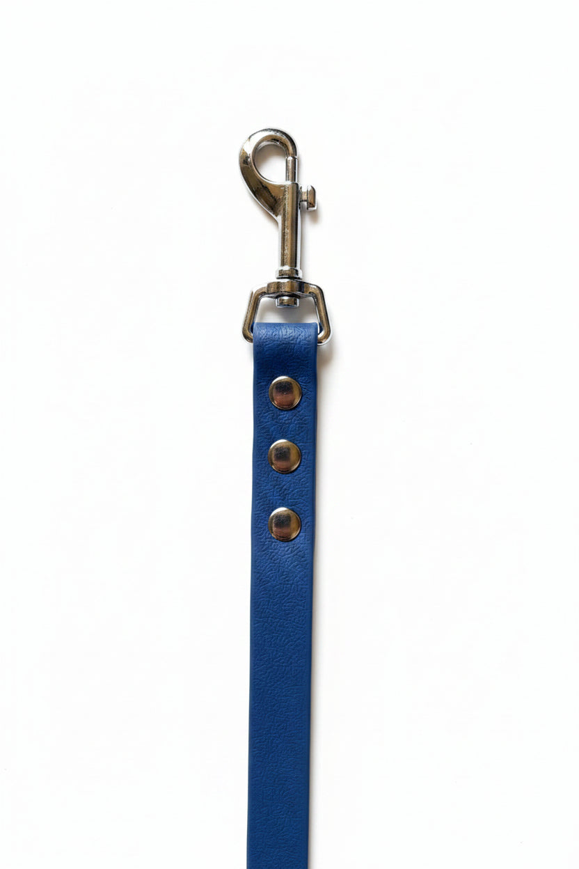 Laisse pour chien artisanale en PVC 20mm – 1m40 – Qimmi Gold