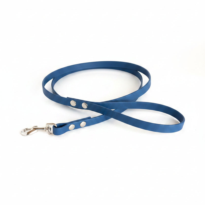 qimmi golf laisse chien biothane
