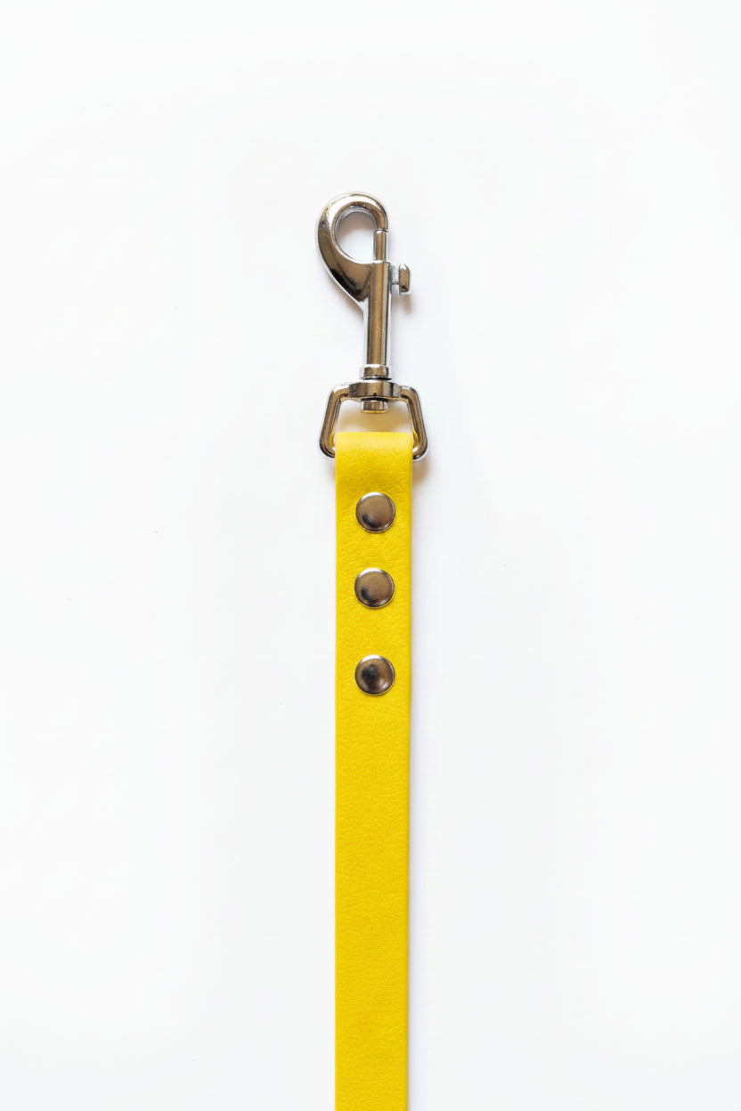 Laisse pour chien en pvc
Laisses colorés
Fabrication artisanale
Made in France
Laisse chien lavable
Laisse chien anti-odeur
Qimmi Gold