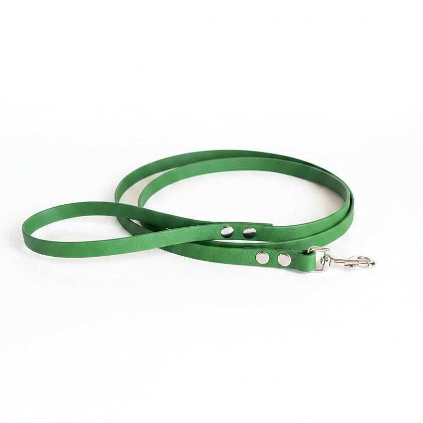 chien laisse kaki pvc biothane