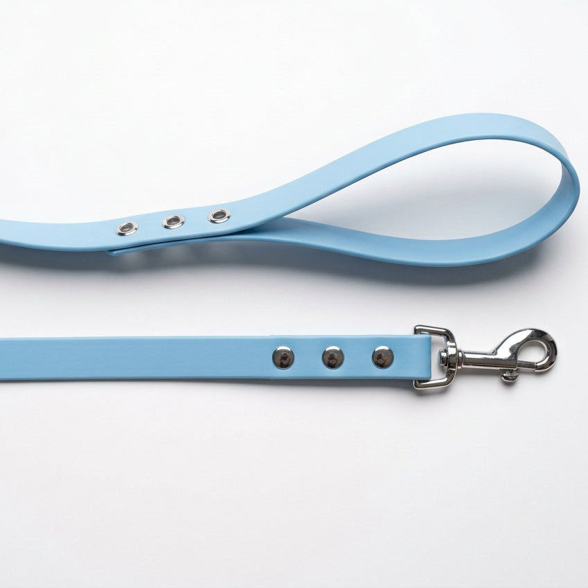 Laisse en biothane bleu