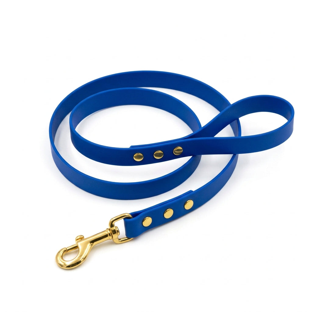 laisse pour chien bleu pvc