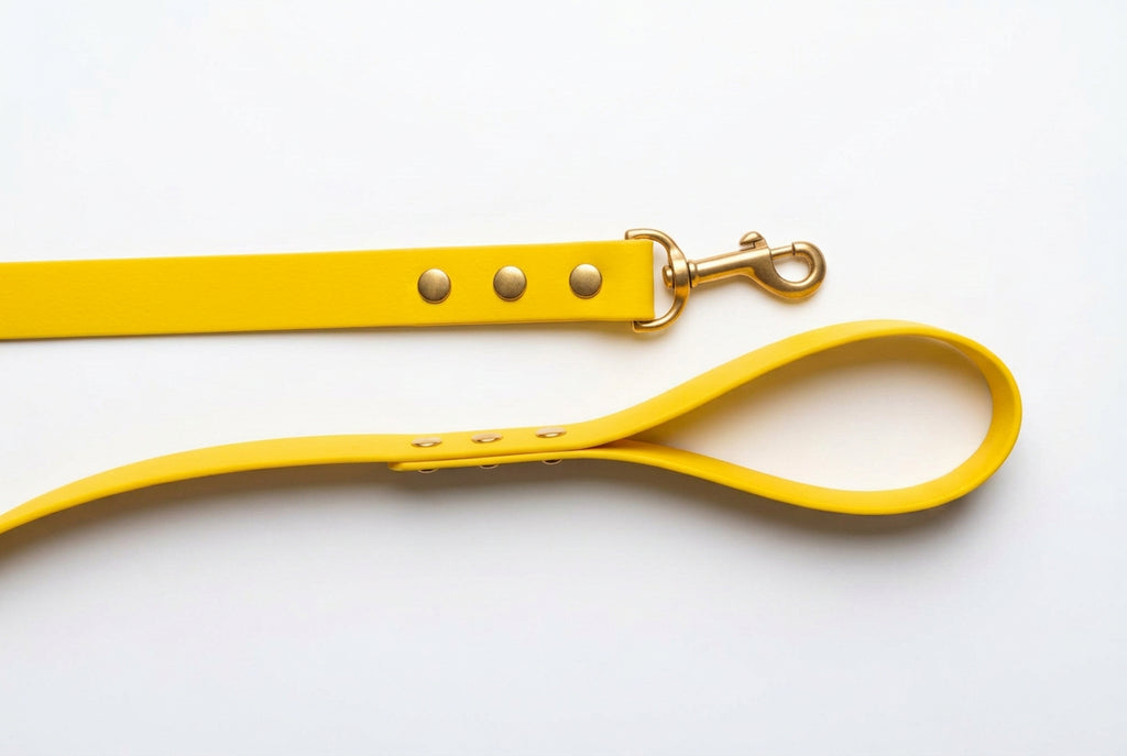 chien biothane jaune