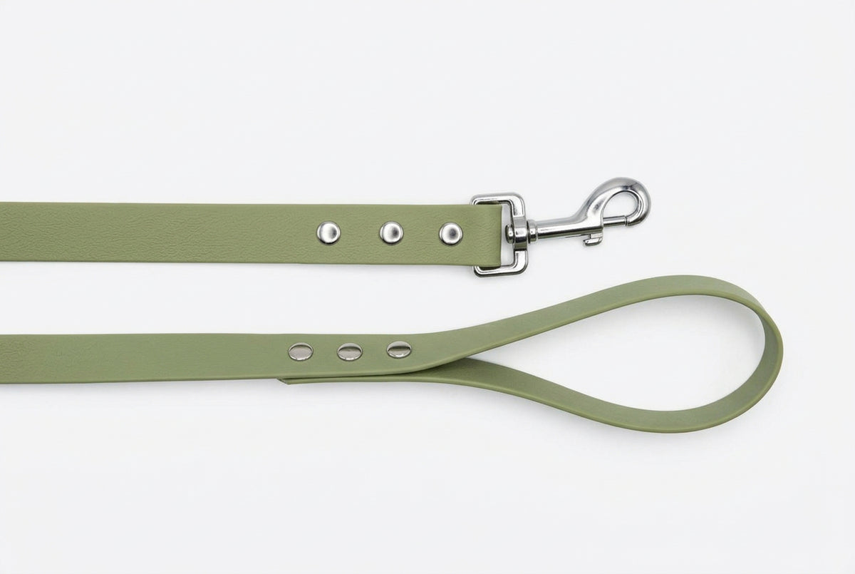 Laisse pour chien en PVC 1,50 m – 25 mm | Qimmi Gold