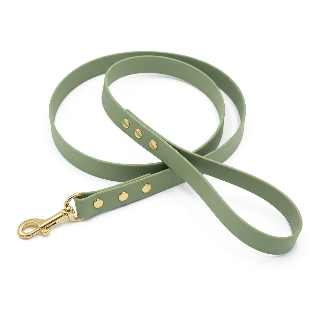 laisse kaki biothane pour chien