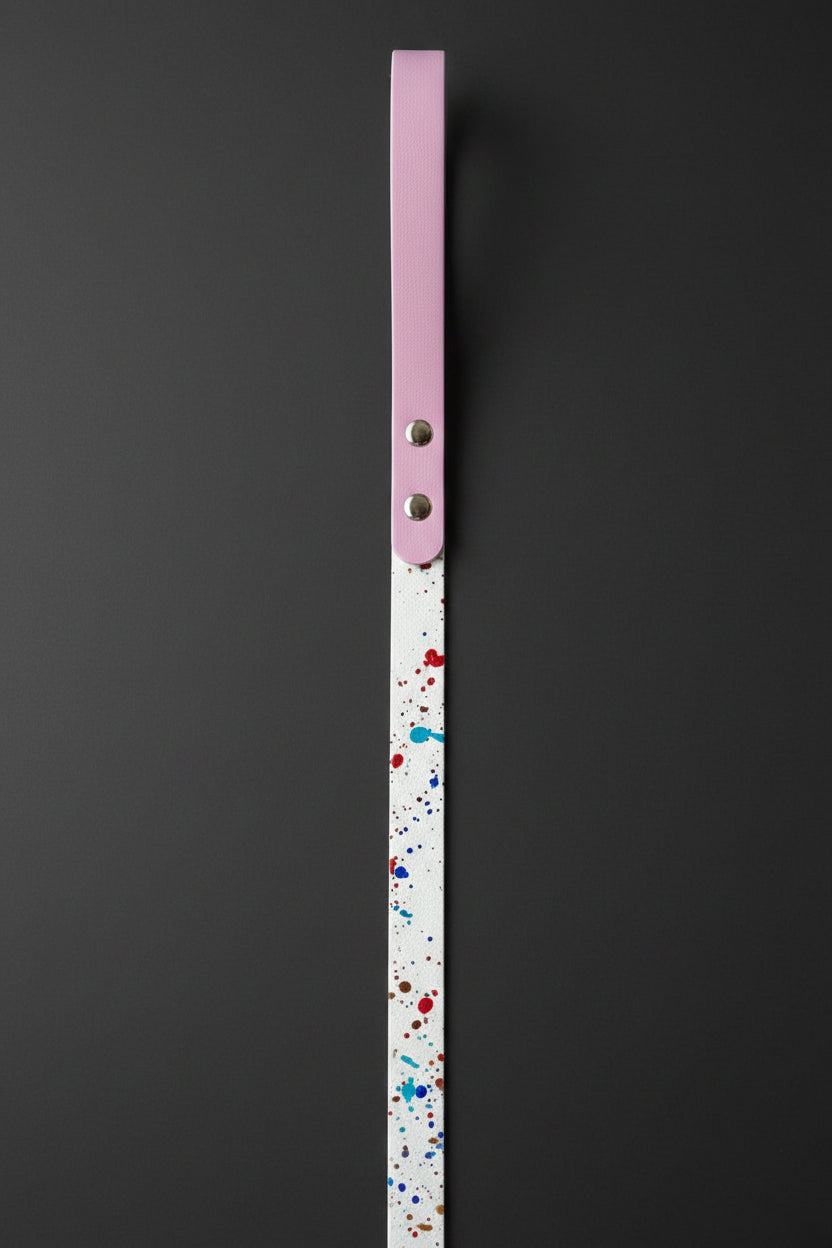 Two-Tone Dog Leash & Collar Set — Limited Edition
