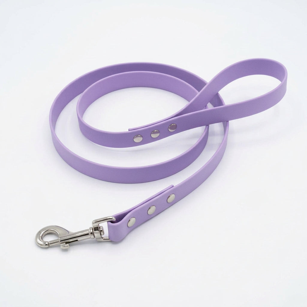 laisse pour chien lavande
