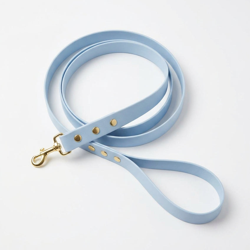 Qimmi gold laisse chien bleu clair
