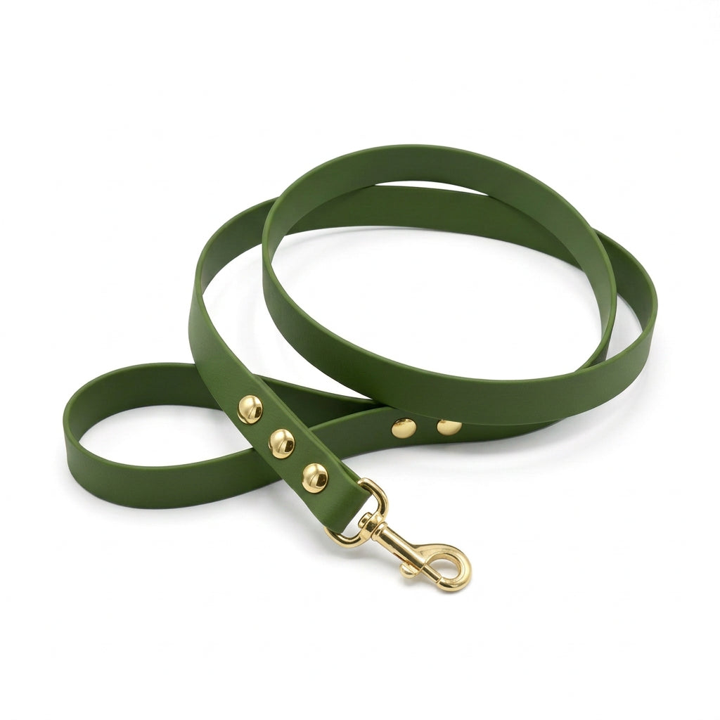 biothane laisse pour gros chien