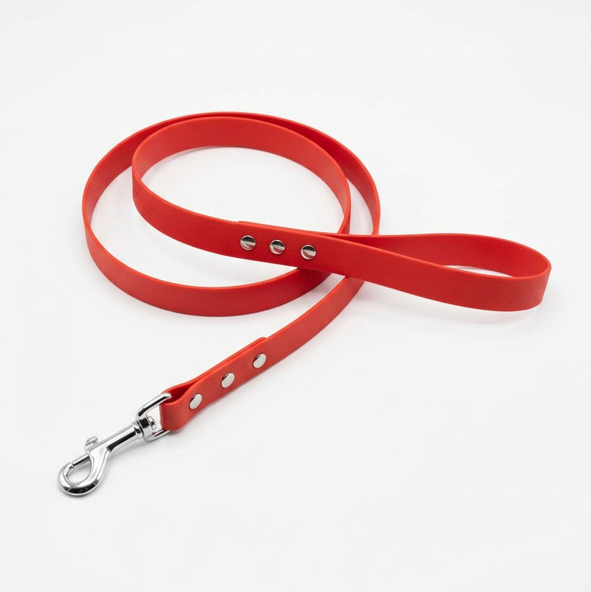 laisse pour chien rouge en pvc