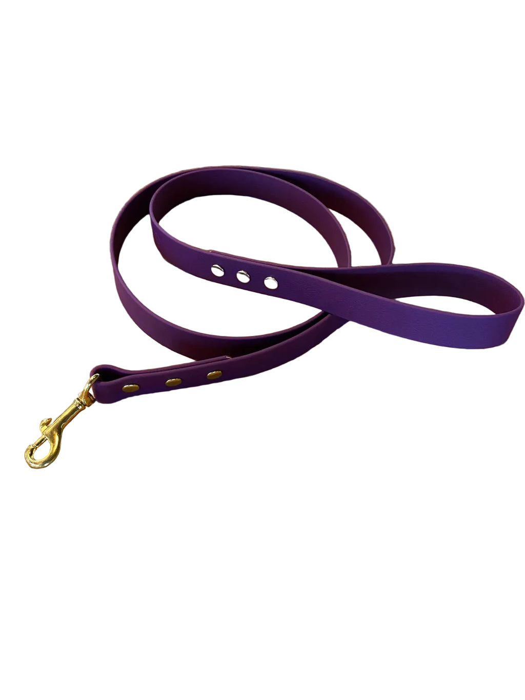laisse pour chien imperméable