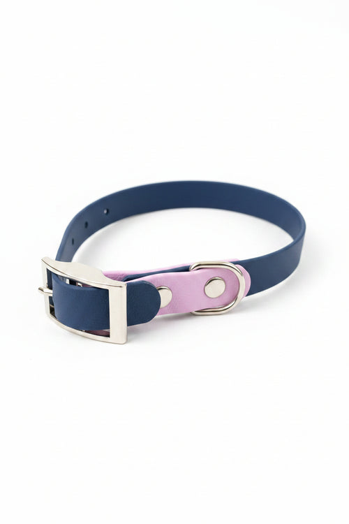 Collier pour chien bi-couleurs en pvc
Fabrication artisanale
Made in France
Collier chien Anti-odeur